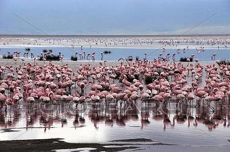 Lake Eyasi and the Hadzabe